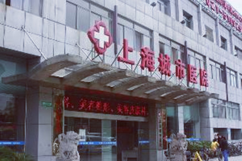 上海城市整形医院