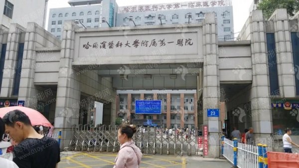 哈尔滨医科大学附属第一医院整形美容科做双眼