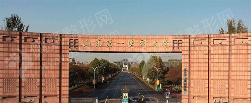 山东第一医科大学整形外科鼻部整形