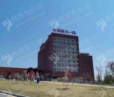 中国医科大学附属第一医院整形美容外科植发