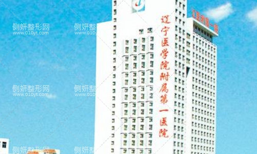 辽宁医学院附属第一医院三级甲等烧伤整形科