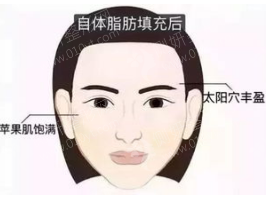 河北医科大学第二医院整形美容科